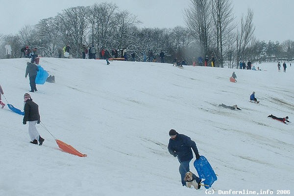Sledging in the Public Park