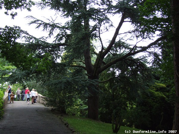 In the park