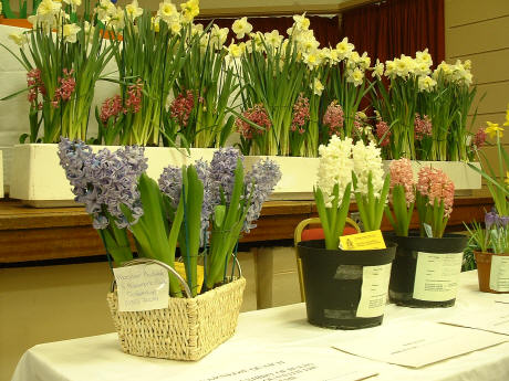 Prize flowers