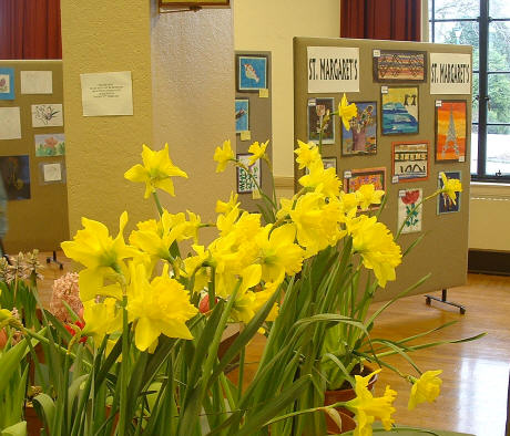 Daffodils in Spring