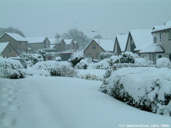 My front garden