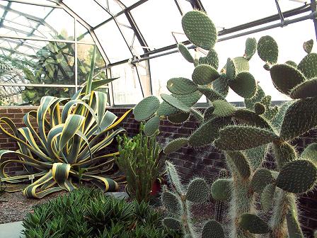 Inside The Greenhouse
